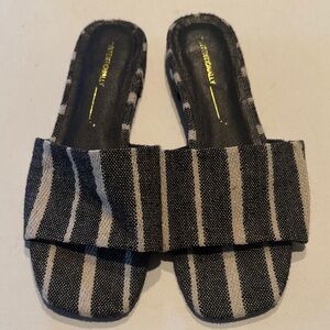 INTENTIONALLY BLANK Monochrome Striped Slides
